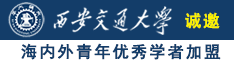 嗯啊插舔在线播放诚邀海内外青年优秀学者加盟西安交通大学