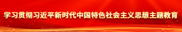 男生抽插bb的视频大全在线观看学习贯彻习近平新时代中国特色社会主义思想主题教育